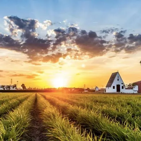 Apartment Triton Mareny Blau